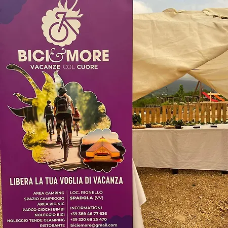Bici&more